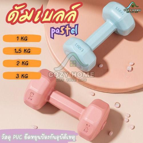 ดัมเบล เซ็ต2ชิ้น สีพาสเทล Dumbbells ออกกำลังกาย ฟิตเนส ดัมเบล สำหรับลดไขมันต้นแขน  ดัมเบลสำหรับผู้หญิง ออกกำลังกาย